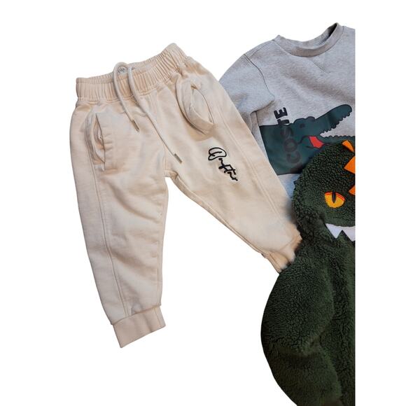 Boys 3T Clothing Lot Nike Lacoste Polo Zara Champion 11pcs - Picture 5 of 13